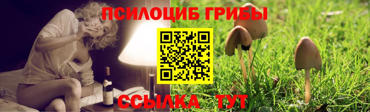 Галлюциногенные грибы прущие грибы Мичуринск