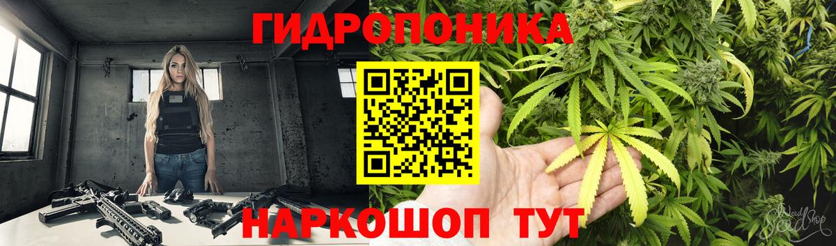 Бошки Шишки Amnesia Мичуринск